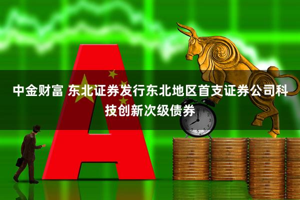 中金财富 东北证券发行东北地区首支证券公司科技创新次级债券