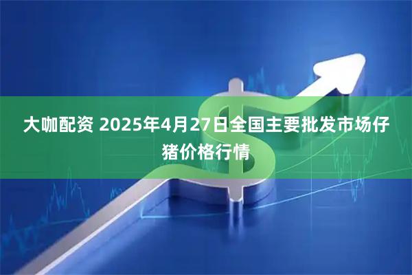 大咖配资 2025年4月27日全国主要批发市场仔猪价格行情