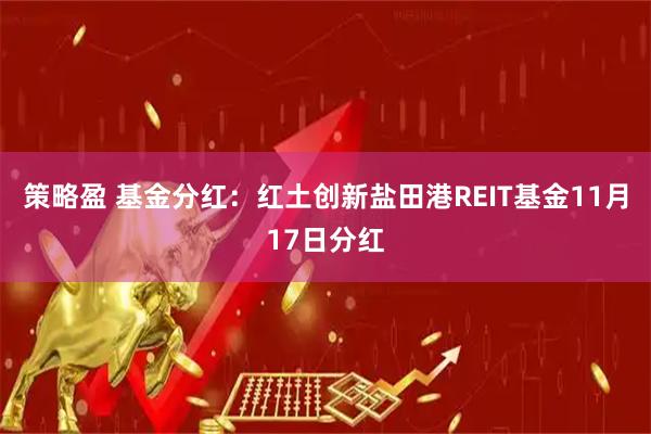策略盈 基金分红：红土创新盐田港REIT基金11月17日分红