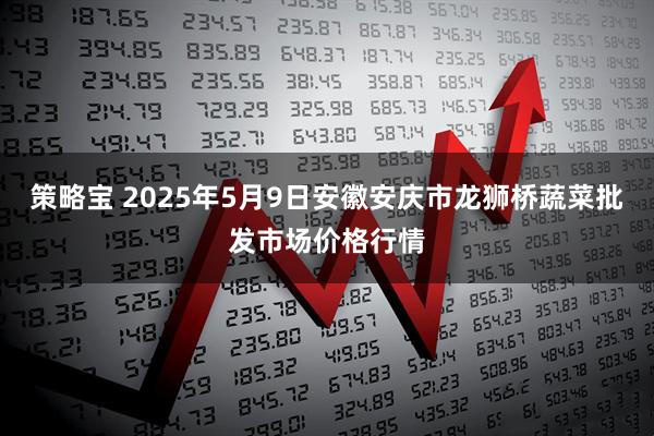 策略宝 2025年5月9日安徽安庆市龙狮桥蔬菜批发市场价格行情