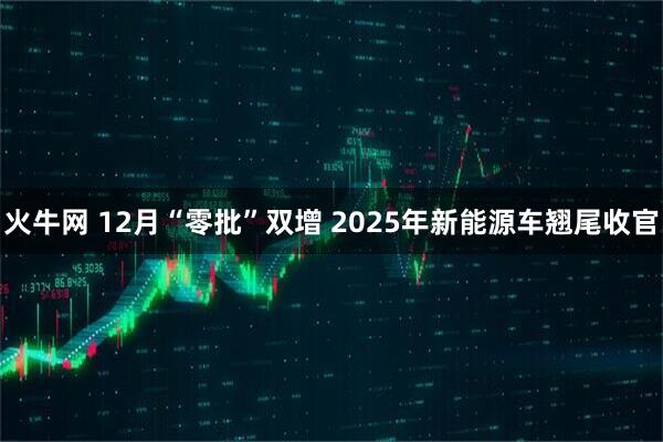 火牛网 12月“零批”双增 2025年新能源车翘尾收官